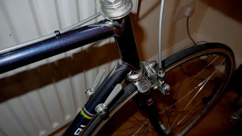 P1110054a.webp