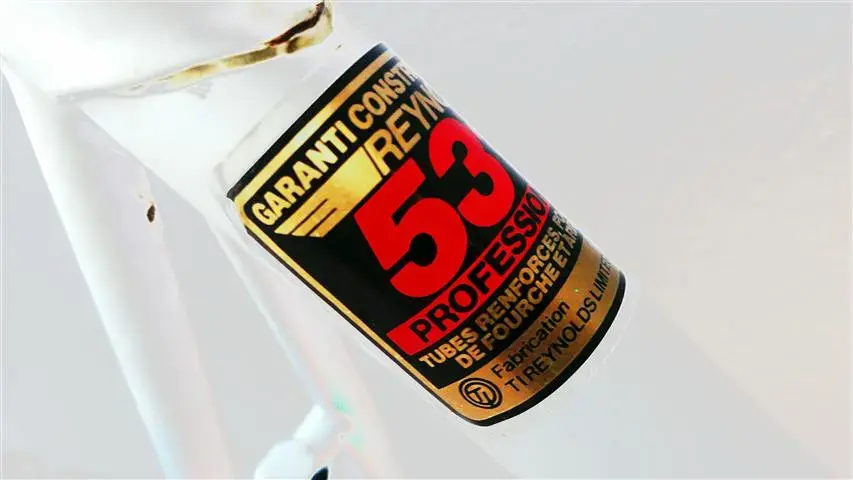 531.webp