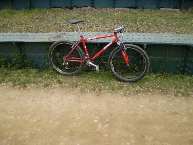P1011166 (Medium).webp
