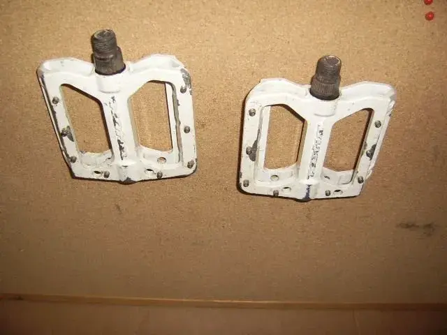 SSA40577.webp