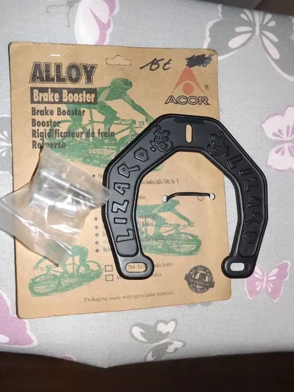 acor_lizard1.webp