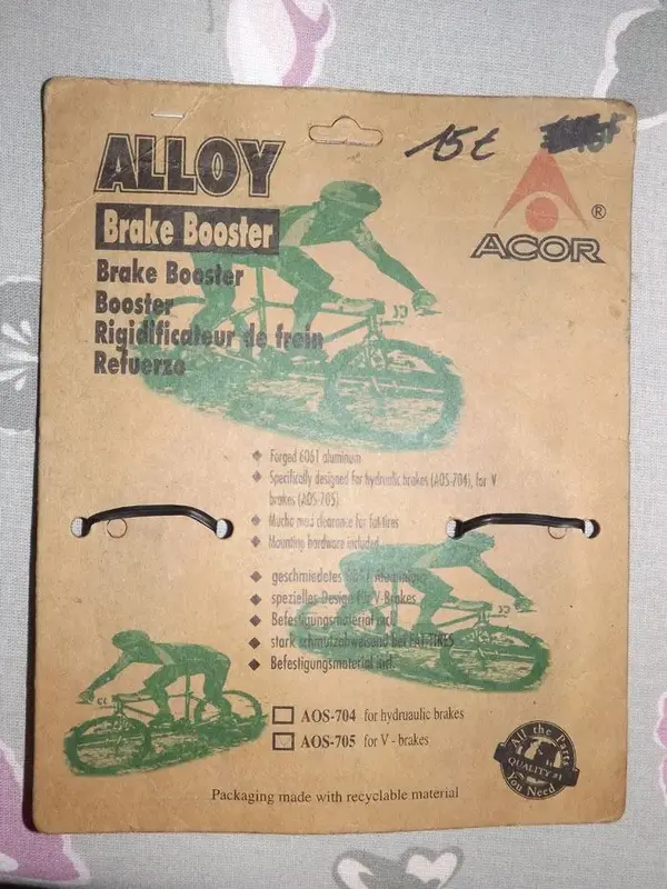 acor_lizard2.webp