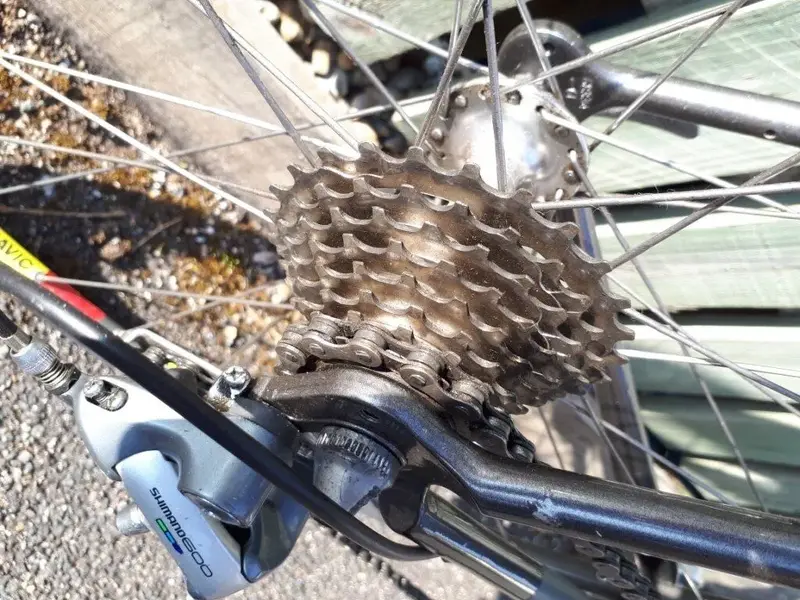 20190419_171103.webp