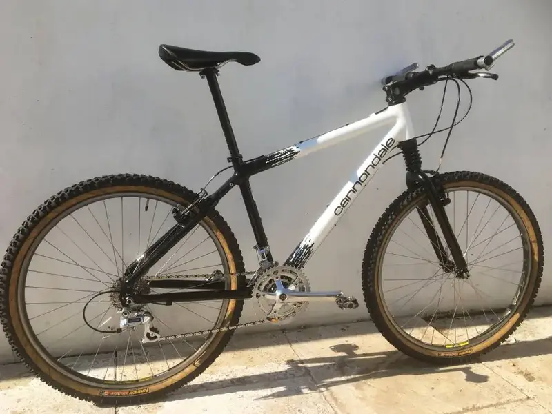 cannondale4.webp