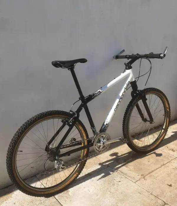 cannondale3.webp