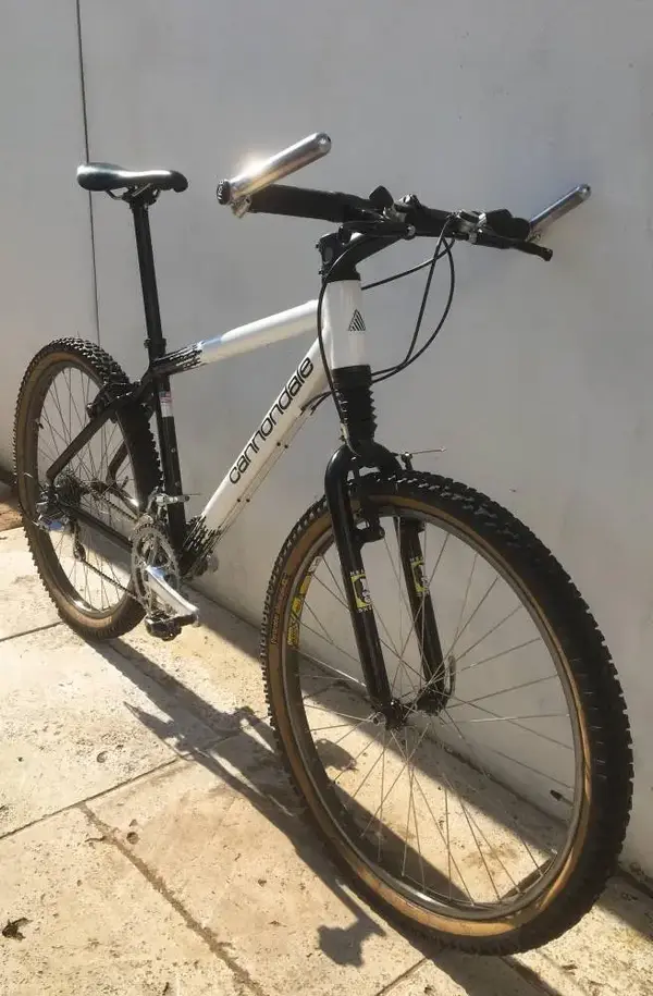 cannondale2.webp