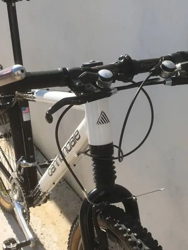 cannondale8.webp