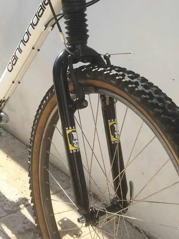 cannondale7.webp