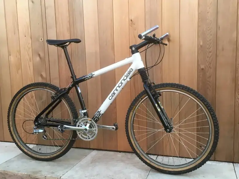 cannondale12.webp