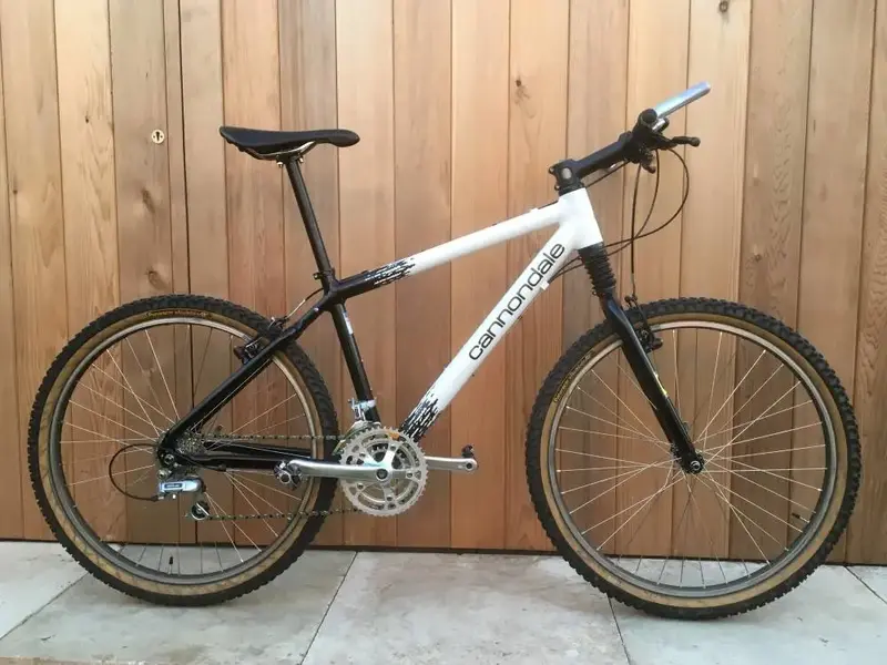 cannondale11.webp