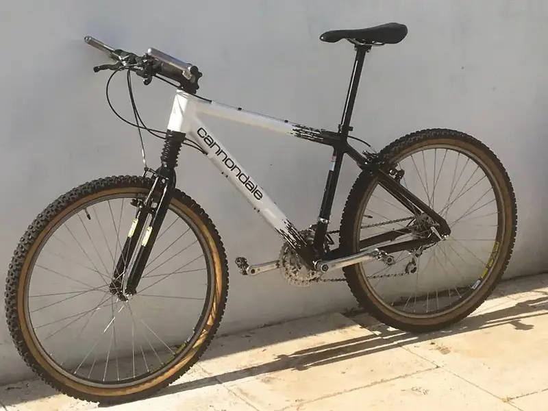 cannondale10.webp