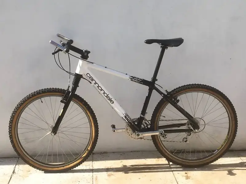 cannondale9.webp