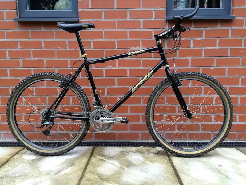 Brodie%2520Kinetic%2520B.webp