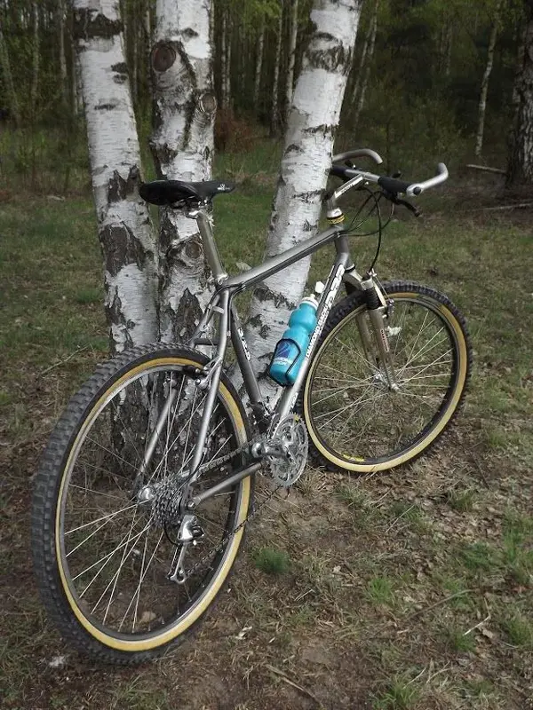 DSCF9184.webp