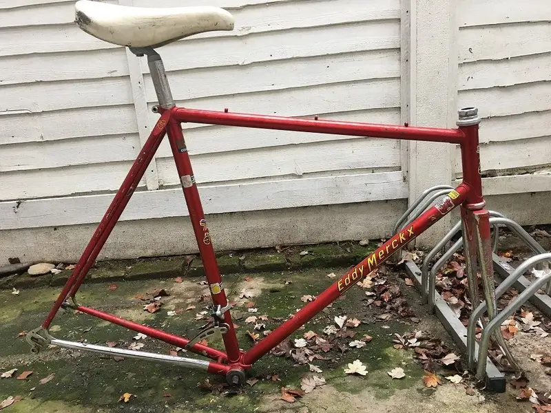 Merckx.webp