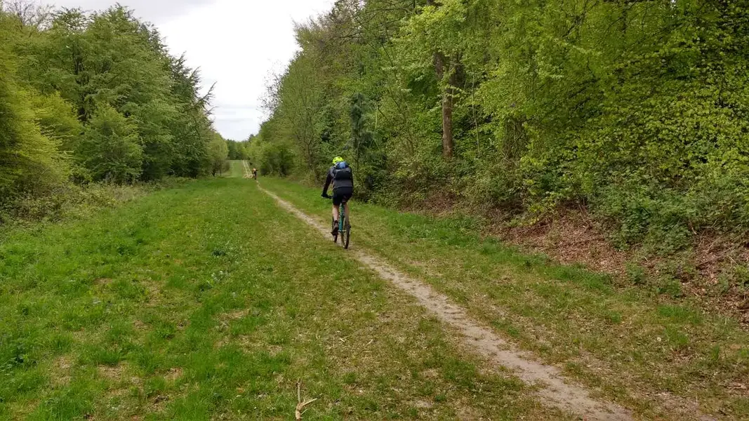 IMG_20190428_110018097_HDR.webp