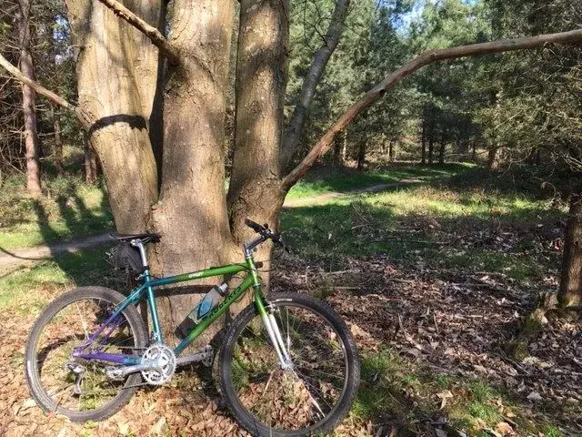 bike 1.webp
