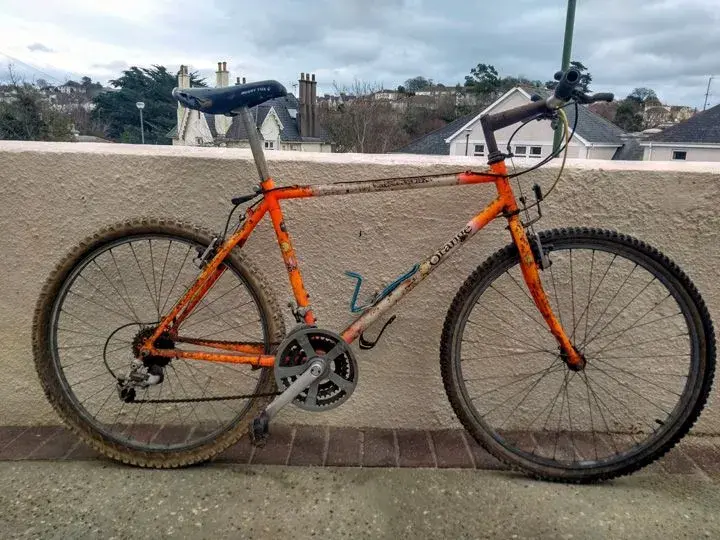 orange clwk 1.webp