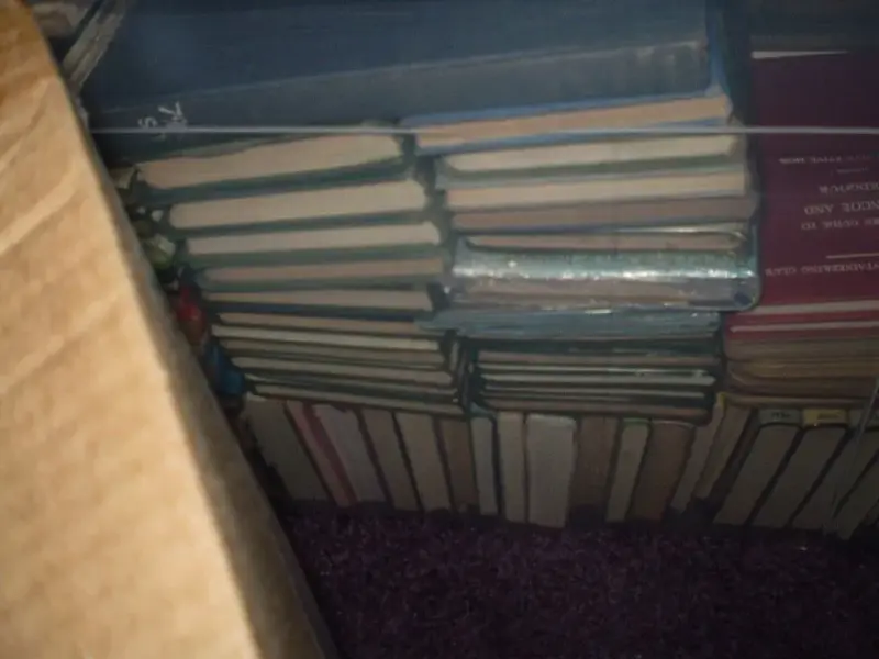 P1011365 (Medium).webp