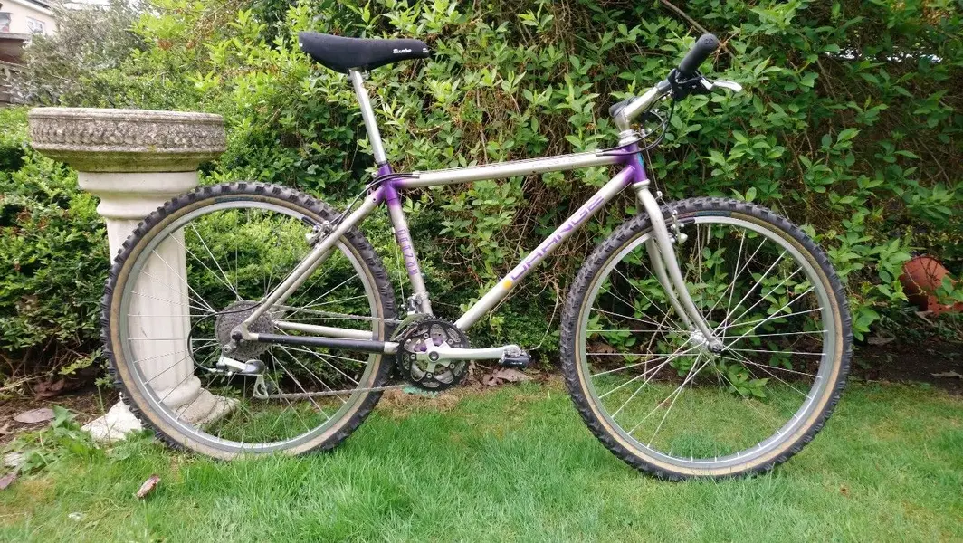 Orange prestige mountain bike online