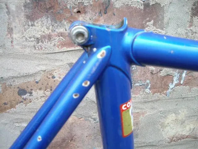 IMGP1710.webp