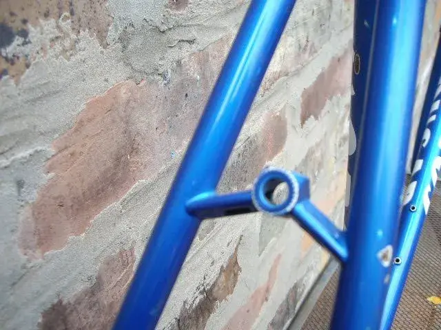 IMGP1711.webp