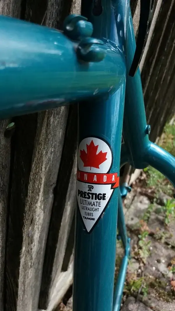 RM Equipe Seat tube.webp