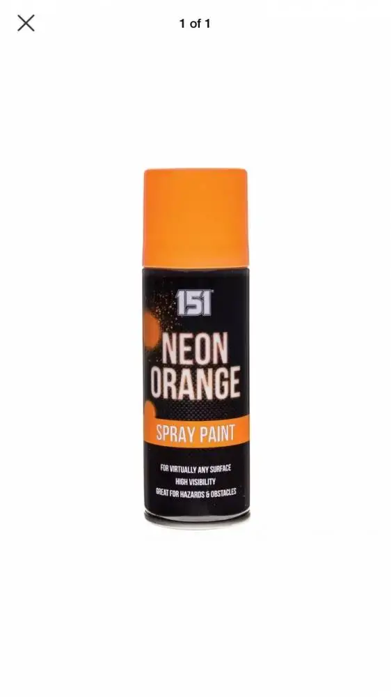 neon orange.webp