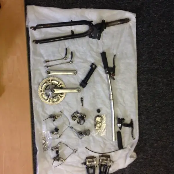 image3.webp