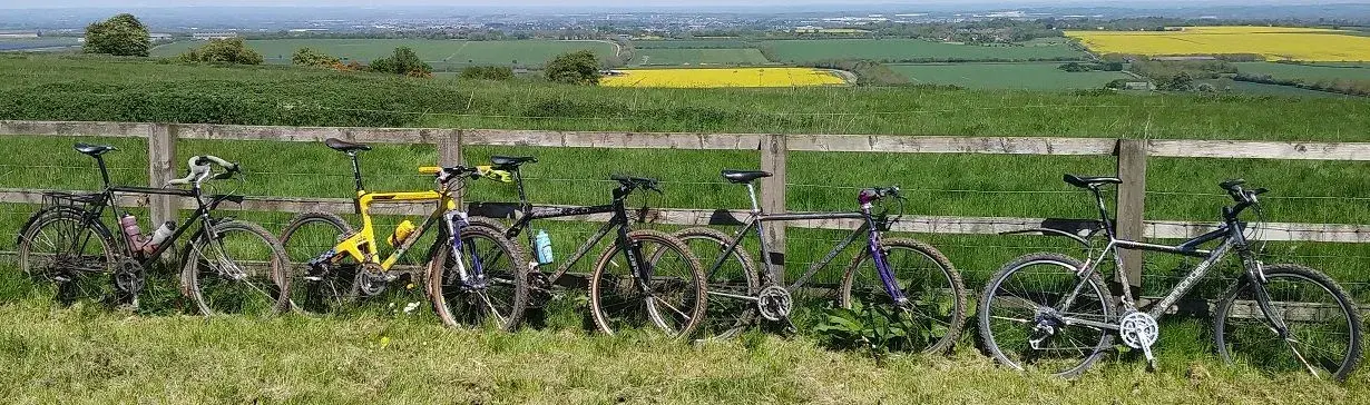 bikes2.webp