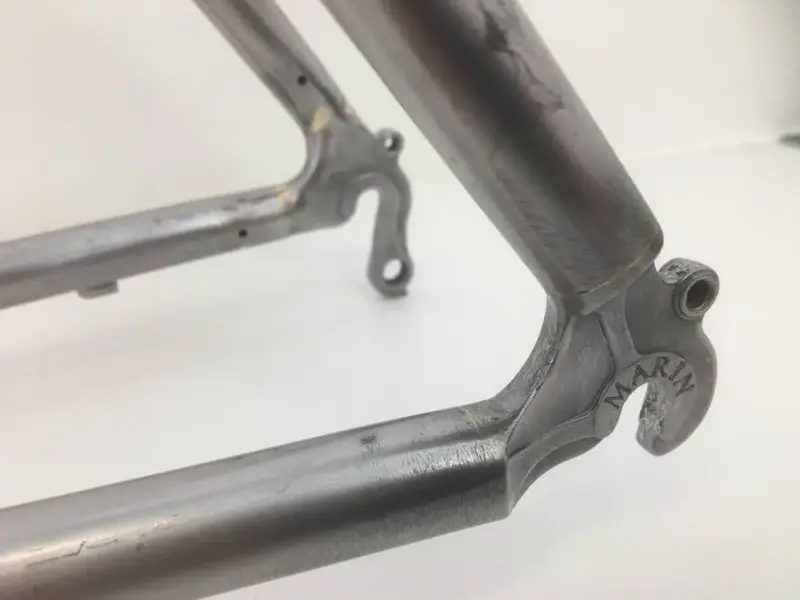 marin dropout.webp
