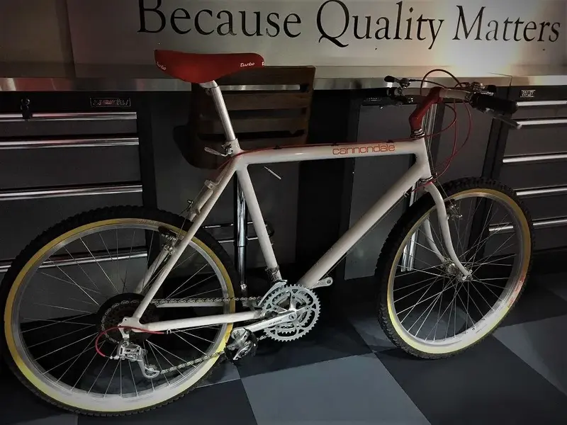 87 Cannondale.webp