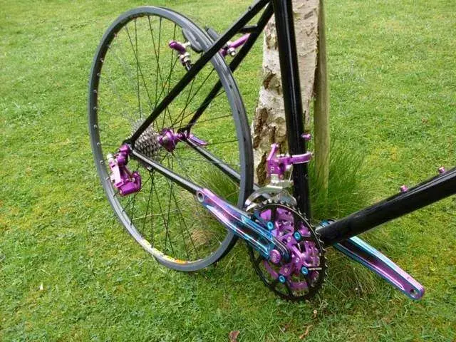 purple kona..webp