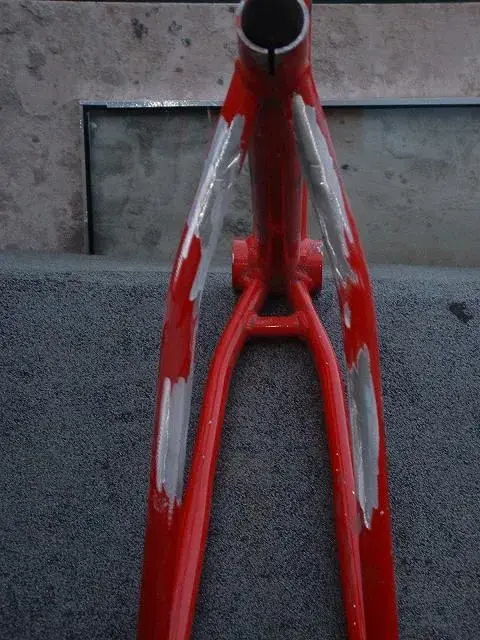 frame 007.webp