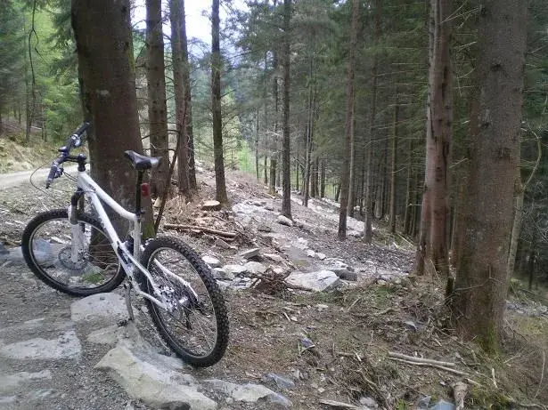 think this trail is called uncle fester, steep and rocky!.webp