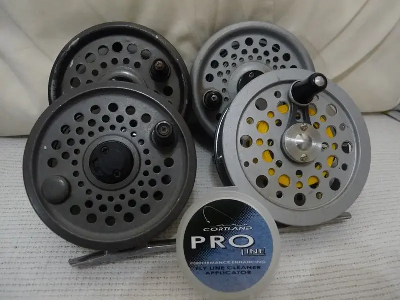 Reels.webp