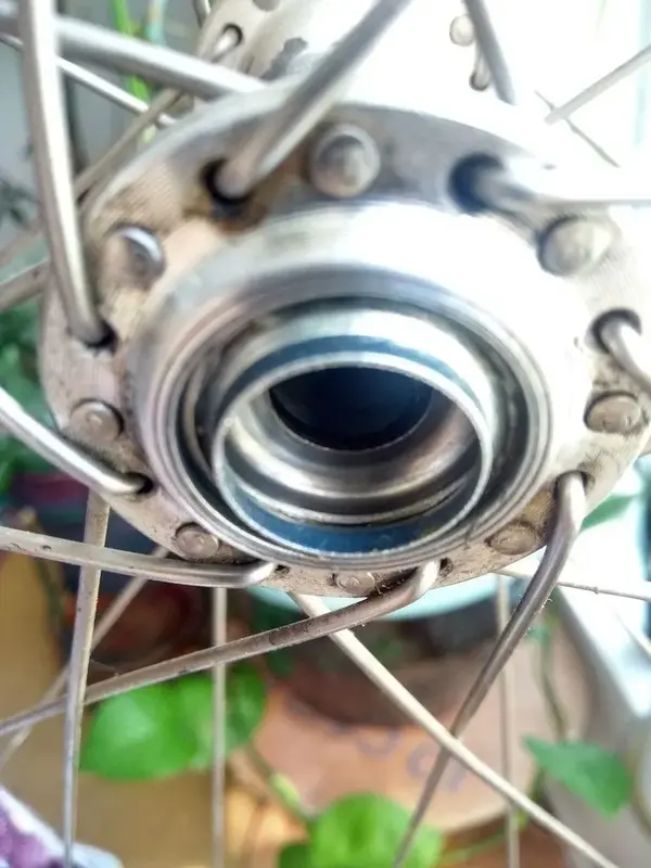 wheelsclose.webp