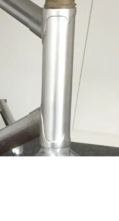 Nakagawa_Headbadge.webp