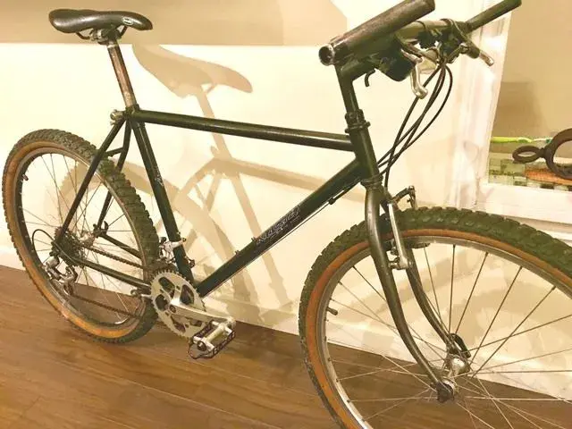 Ritchey mystery model.webp