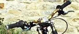 ProTaper Bars.webp