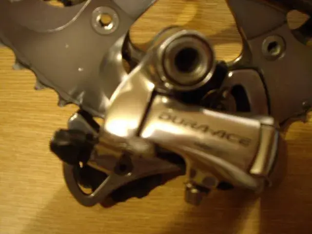 IMGP1801.webp