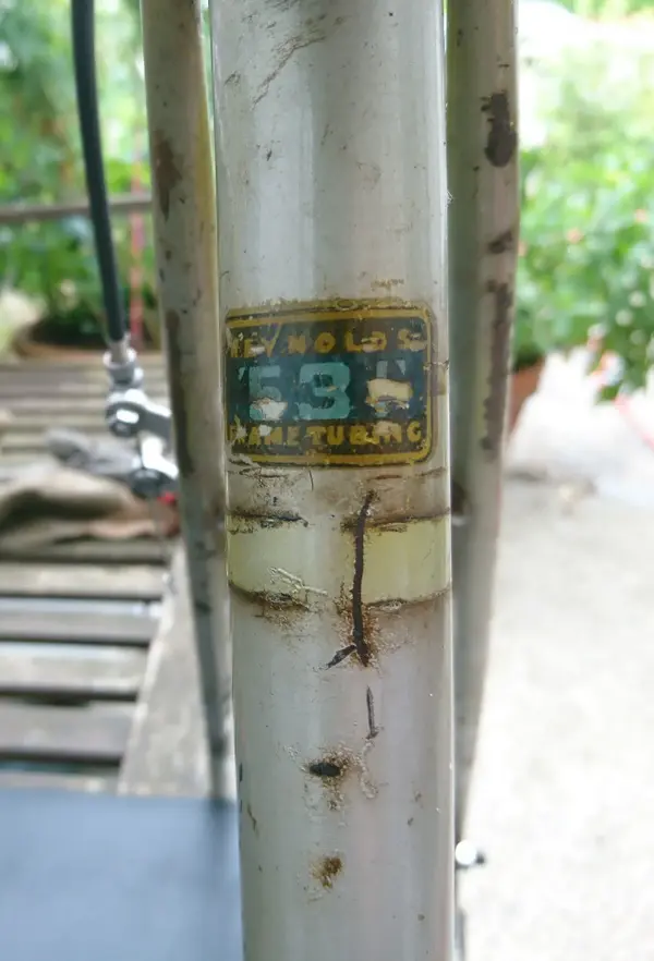 DSC_0701.webp