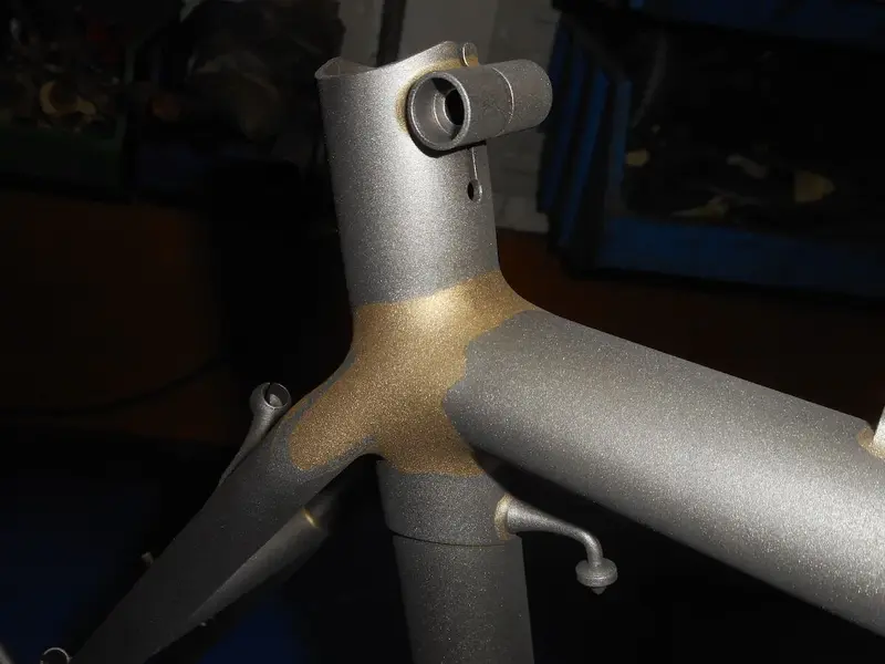 DSCN6455.webp