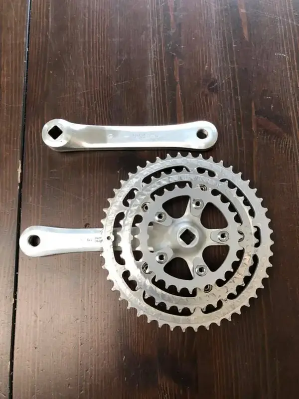 67052113_2279432372112667_7206271965189898240_n.webp