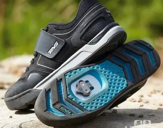 teva pivot.webp