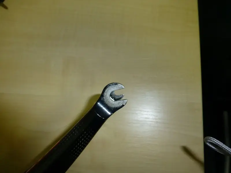 Time Fork dropout 1.webp
