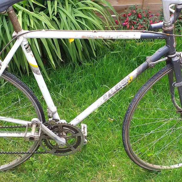 Raleigh Equipe1.webp