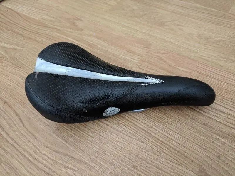 Shiny saddle.webp