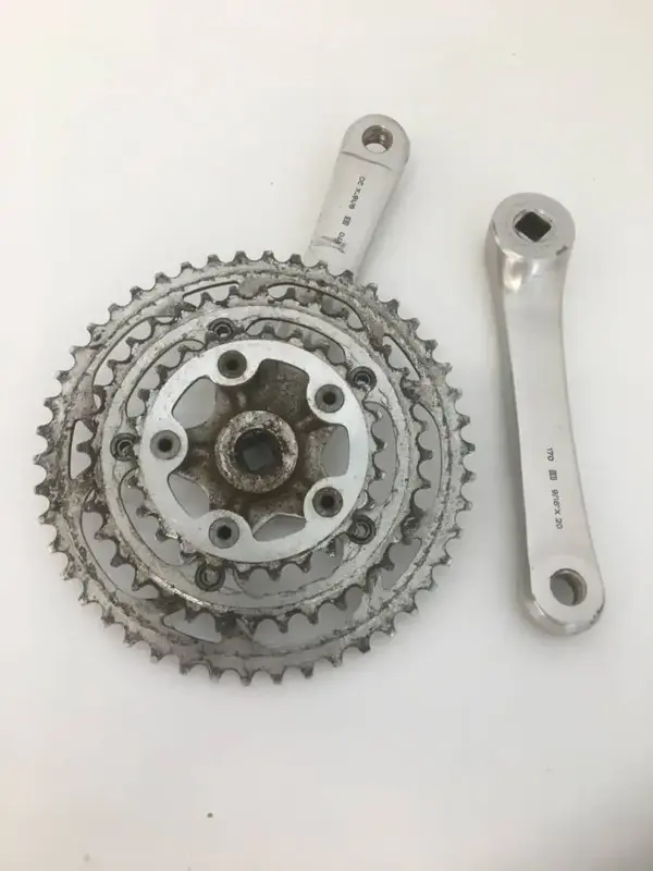 Campy Centaur 2.webp