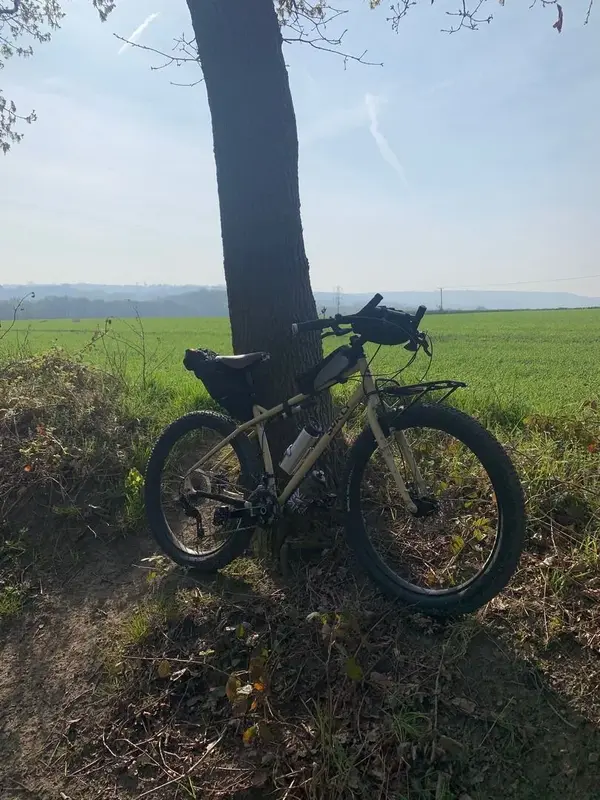 emley.webp
